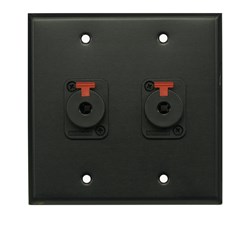 Whirlwind Wall Plate - 2 Gang Black 2 Whirlwind WCQF 1/4 Inch Jacks